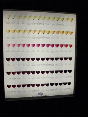 Wine colors